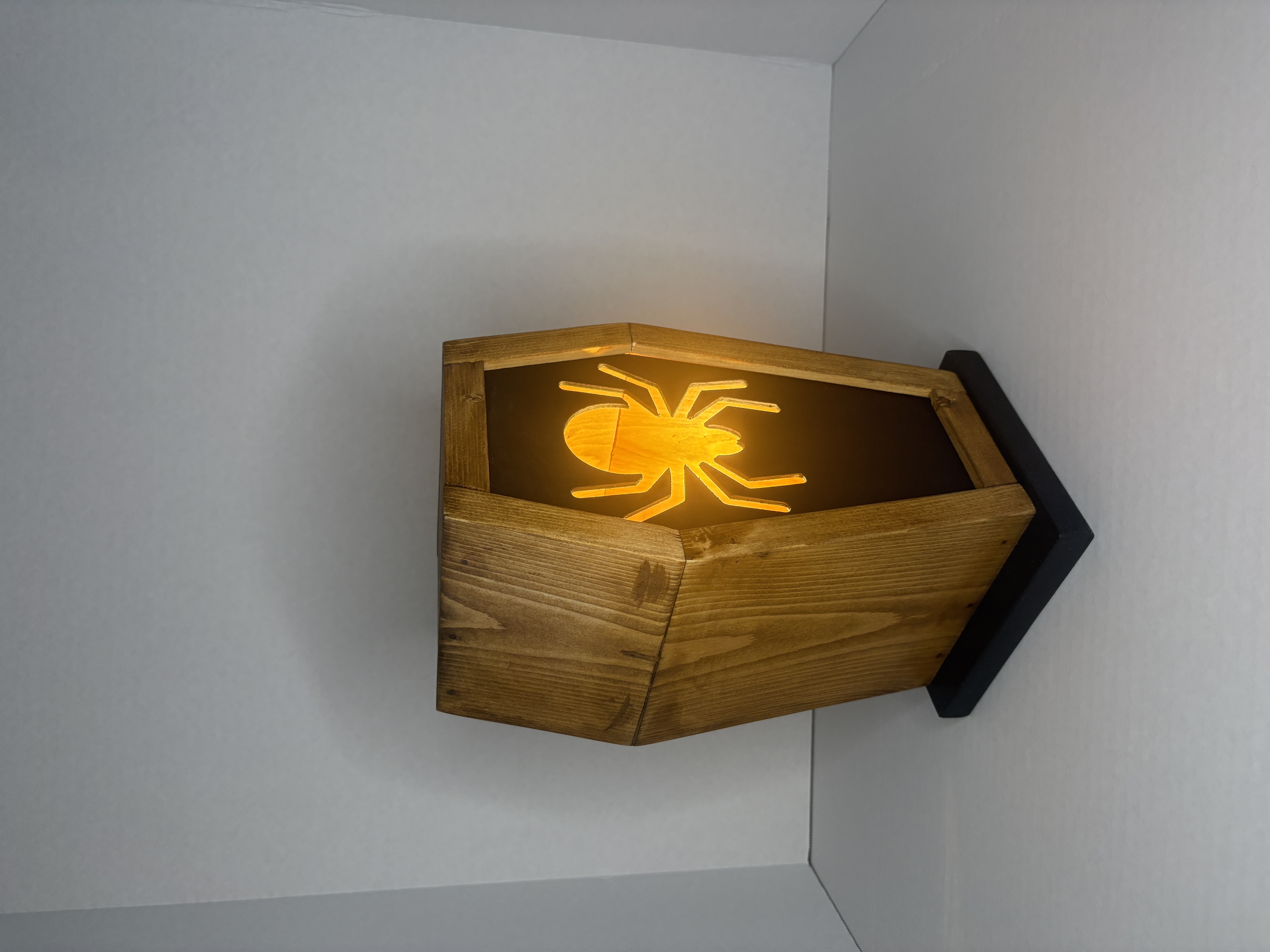 Spider Coffin Lamp by Hill Works LLC
